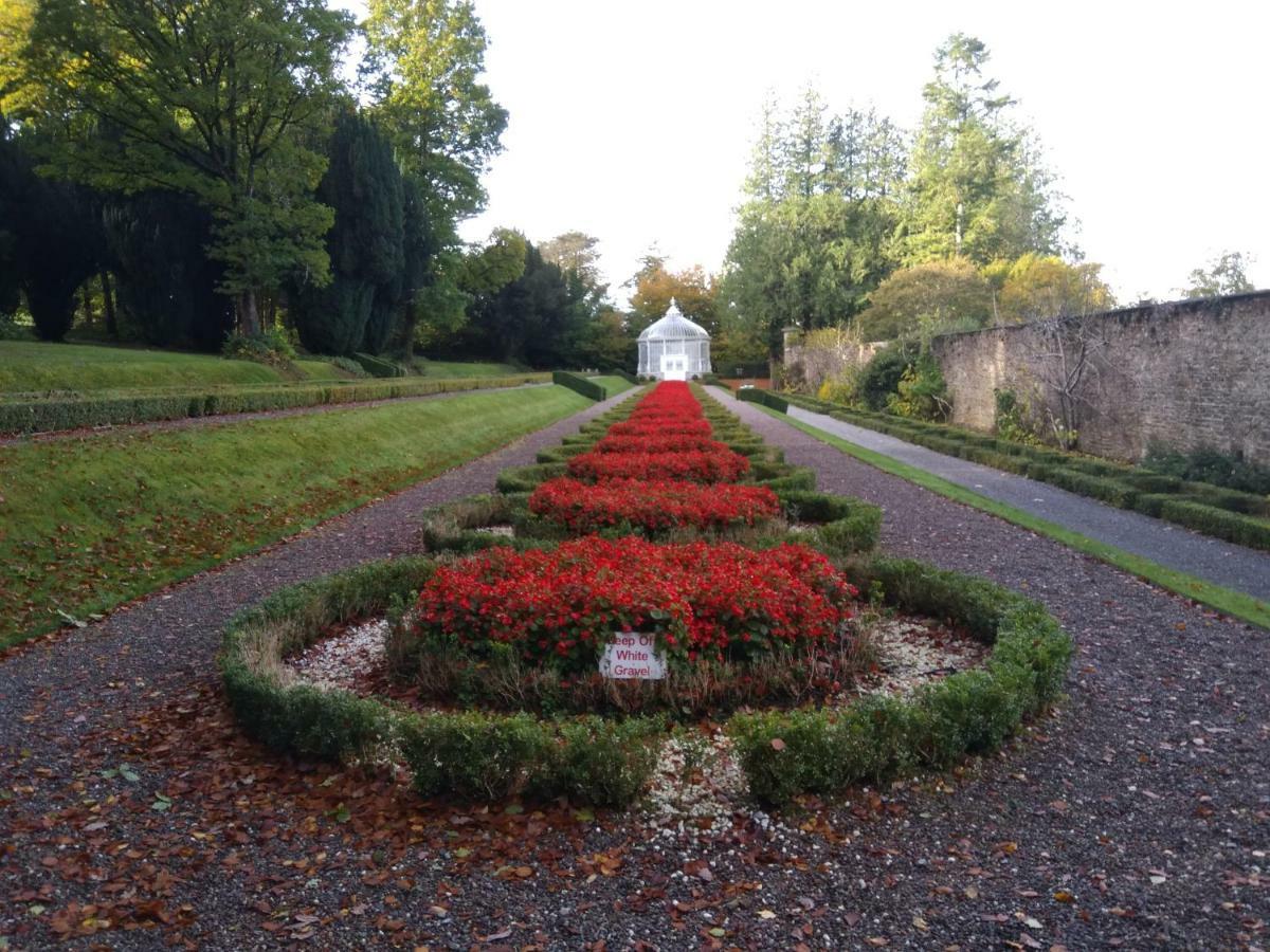 Twin Oaks Bed & Breakfast Kilkenny Exterior foto